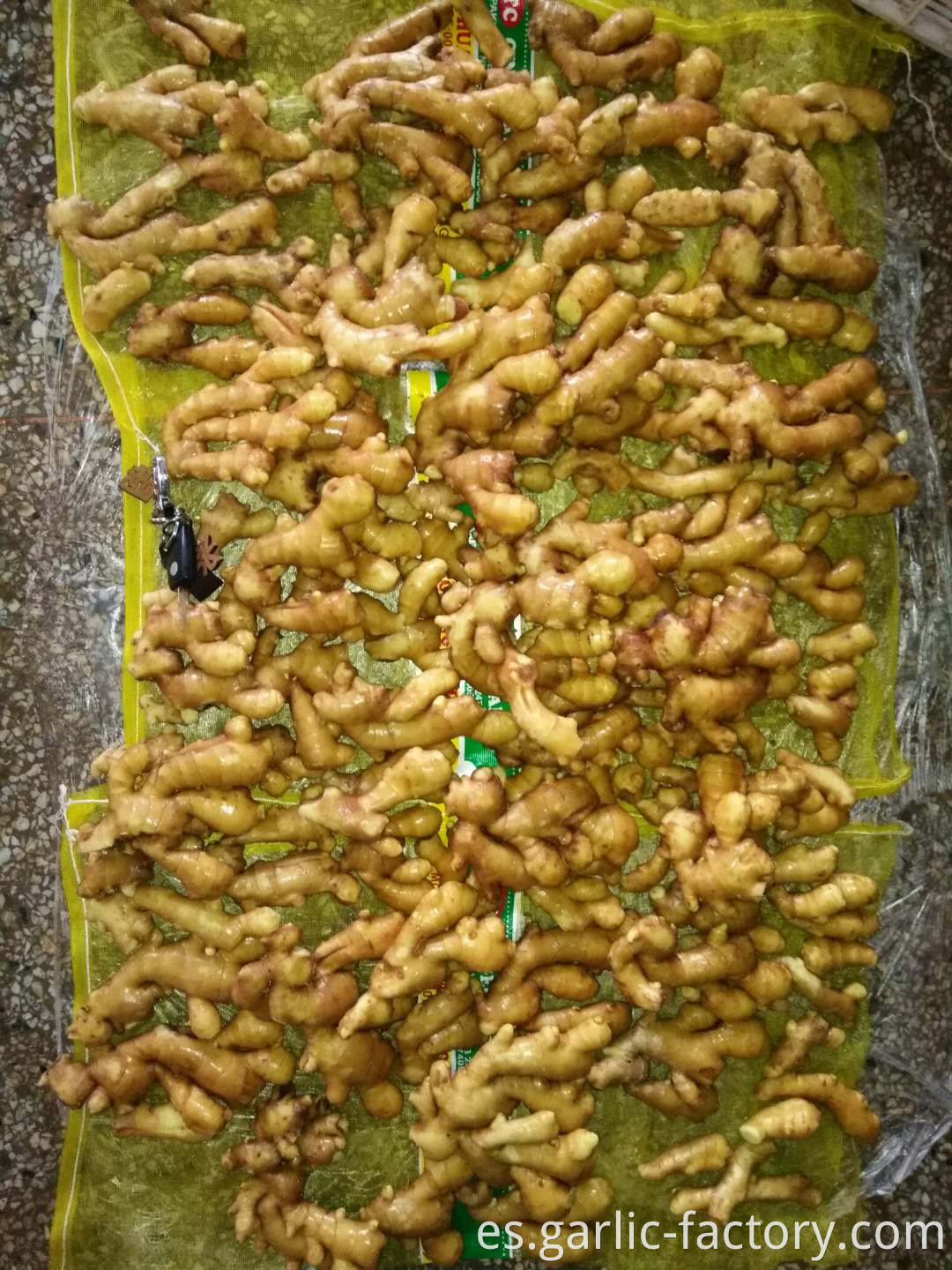 Wholesale organic fresh ginger price